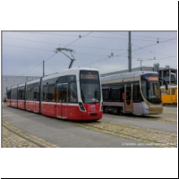 2021-05-21 Alstom Flexity Bruxelles (03700391).jpg